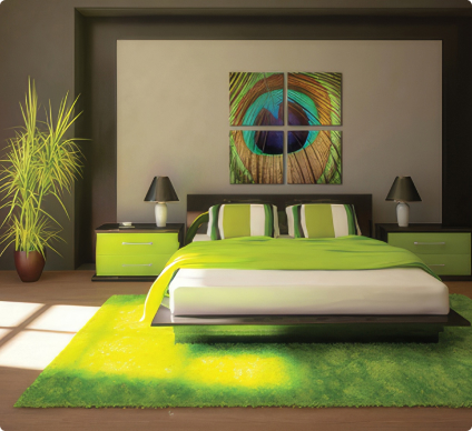 Фотообои Перо