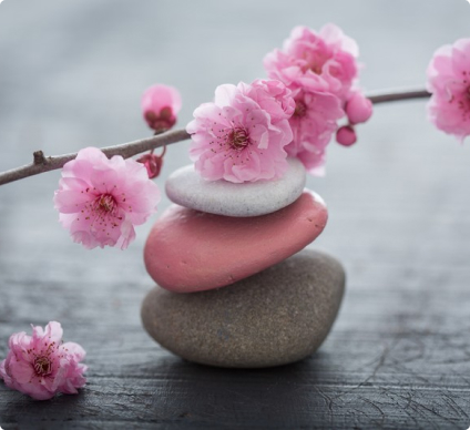 Фотообои Натюрморт 1